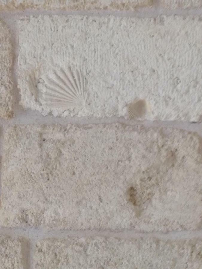 Casa Di Antonio Villa Polignano a Mare Eksteriør billede